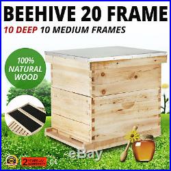 20-Frame Langstroth Bee Hive Complete Box Kit Free Shipping